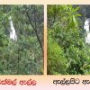 Deraniyagala Pictures